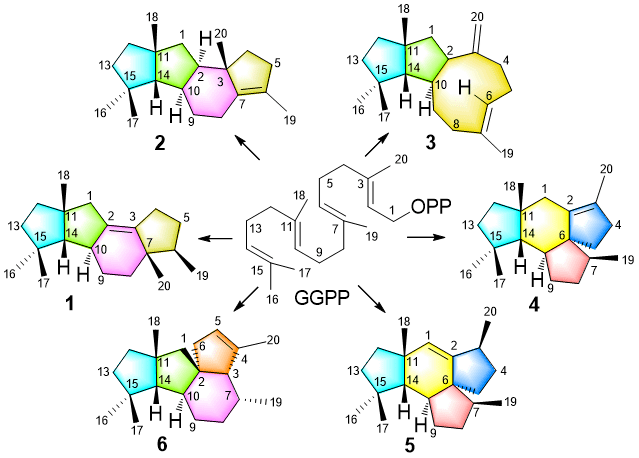 6